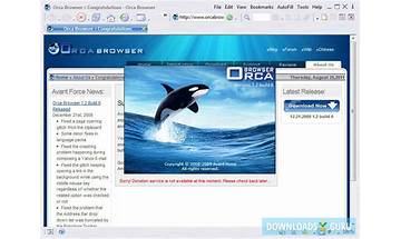 Orca Browser for Windows - Download it from Habererciyes for free